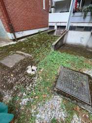 Photo of this report